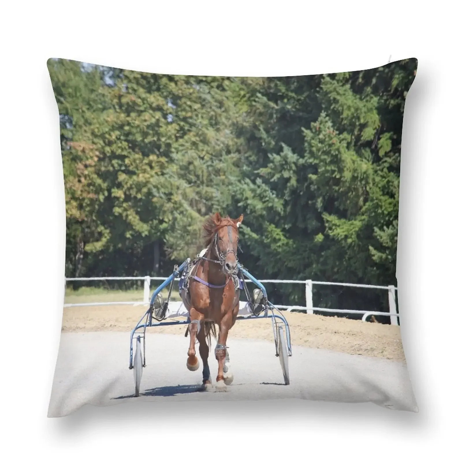 harness racing horse trotter breed in motion Throw Pillow anime girl Pillowcase Pillow Case Christmas Sofa Cushion Cover pillow