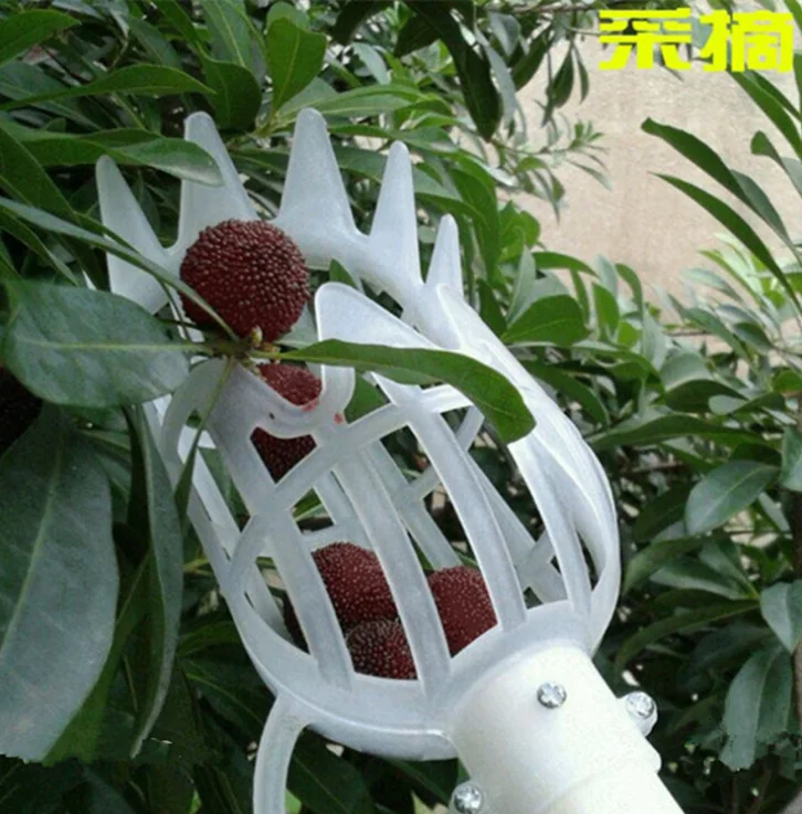 1pc waxberry nêspera selecionador de frutas dispositivo de colheita plástico branco ferramenta de jardim