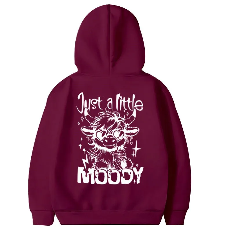 Bluza z kapturem w stylu amerykańskim, unisex, na wiosnę i jesień 2025, casualowy trend, modny nadruk.