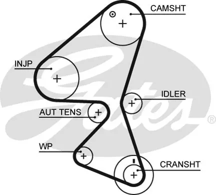 Store code: 5598XS for the timing belt (137 × ×) PARTNER peak of the PARTNER peak of the ctober C2 C3 C4 C5 JUMPY CT1092