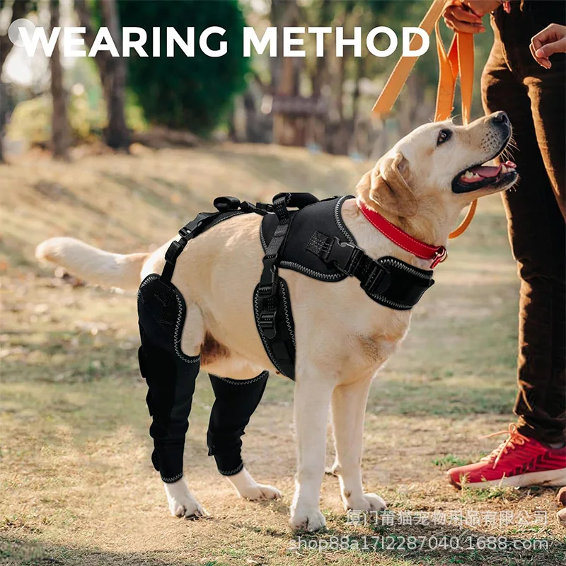 Dog Acl Brace For K…