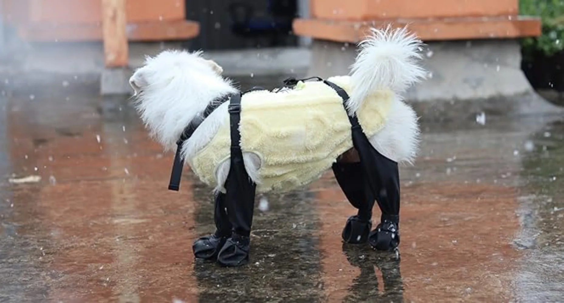 Rutschfeste Hundeschuhe Haustier-Pfoten-Hunderegenschuhe Schmutzabweisende Sturzschutz-Hundeschuhe für Draußen mit Riemen Winter Wasserdichte Hundestiefel – Detail 5