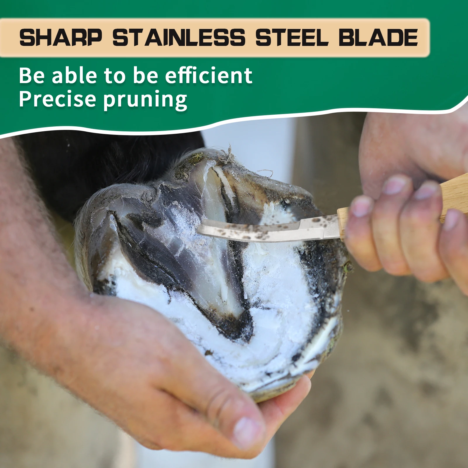 1Pc Pisau Kuku Kuda Sapi Baja Tahan Karat Tipe Pengait Pedikur Domba Dengan Gagang Kayu Alat Pisau Kuku Perlengkapan Peternakan Ternak