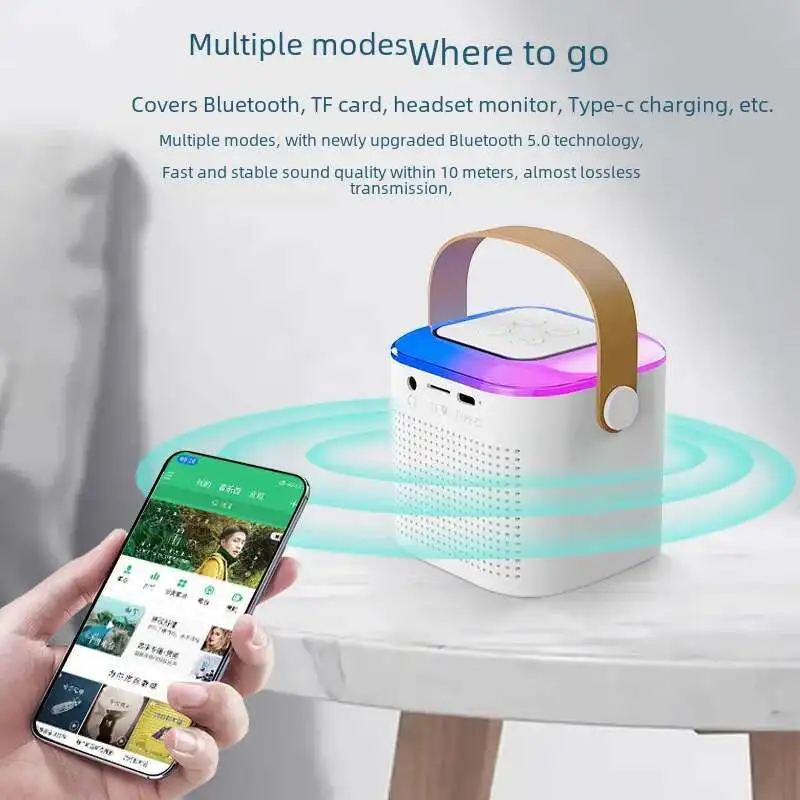 Altoparlante Bluetooth portatile con Karaoke multifunzionale e microfono Altoparlante audio Bluetooth integrato Riduzione del rumore DSP