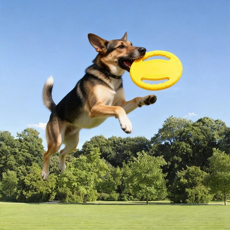 Frisbee pour chien en EVA avec - Frisbee Freestyle Disc avis et prix