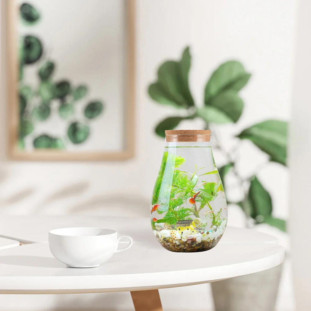 

2Pcs Transparent Bottle Glass Terrarium with Lid for DIY Plants Container Micro Landscape Ecological Bottle Decorative Table
