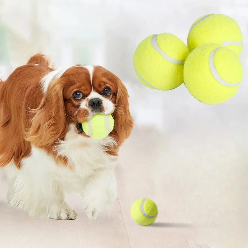 Gummi-Tennisball Hundespielzeug Hochelastisch Gestreift Batteriefrei für Kleine Hunde Outdoor-Spiel – Detail 5