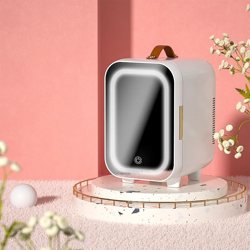 

Car small refrigerator dormitory home dual-purpose hot car storage spot