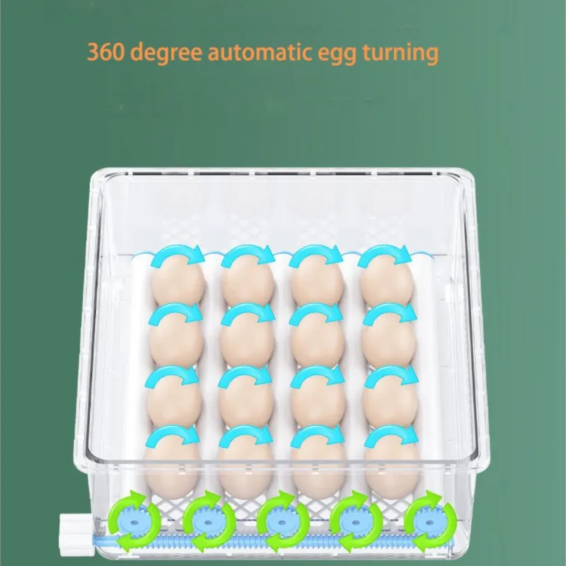 Imagem -05 - Sistema Controlado por Computador Duplo Elétrico Incubadoras Automáticas Ovo Galinha Galinha Ovos Indústria Alta Hatchabilidade 12 16