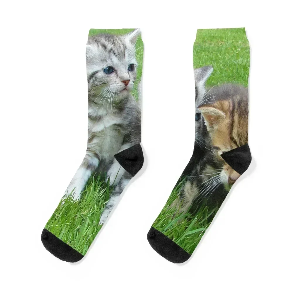 

Cute Kittens Socks summer winter Toe sports christmas gifts Men Socks Women's