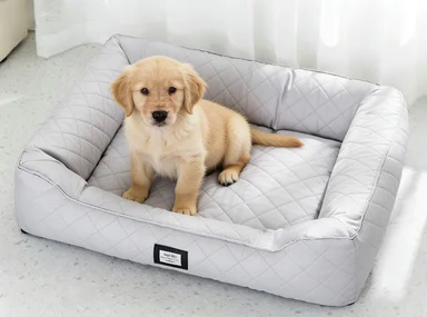 

Dog Accessories Beds Mats For Small-Sized Cats Oxford Collapsible Foldable Four-Season Indoor Space-Saving Portable Adjustable