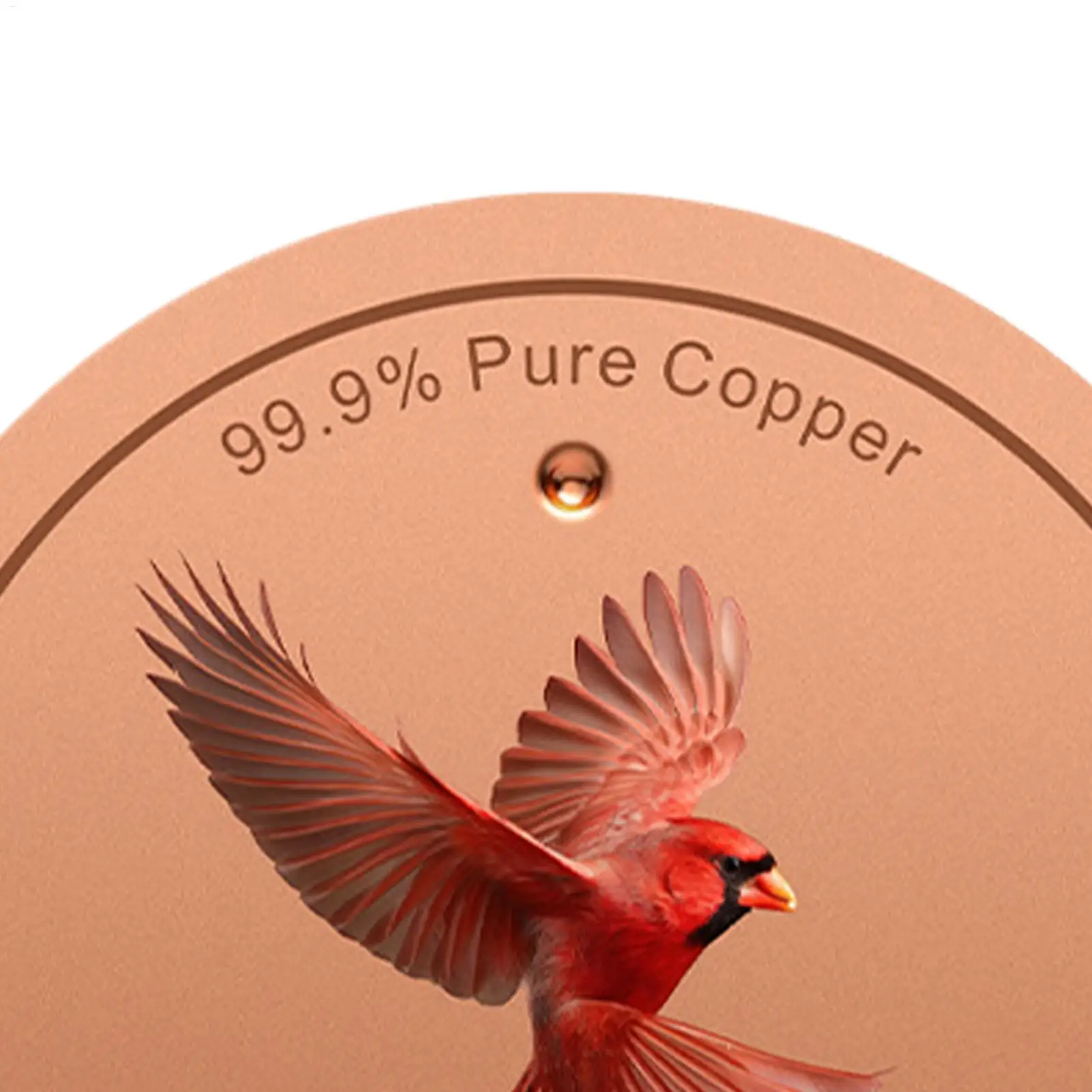 Copper Disc For Bird Bath 4 Inch With Triple-Point Support Outdoor Bird Bowl Cleaner Disc For Outdoor Garden Backyard Pond Deck