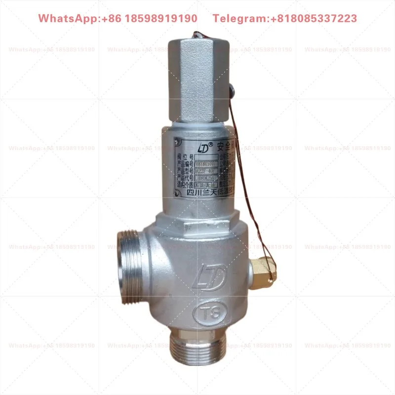 DA21F-40P DA22F-40P Low Temperature Safety Valve Stainless Steel Cryogenic Relief Valve For Liquid Oxygen Nitrogen LNG