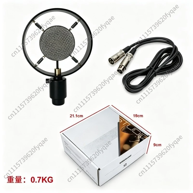 Retro condenser microphone computer recording video shooting voice conference teaching training