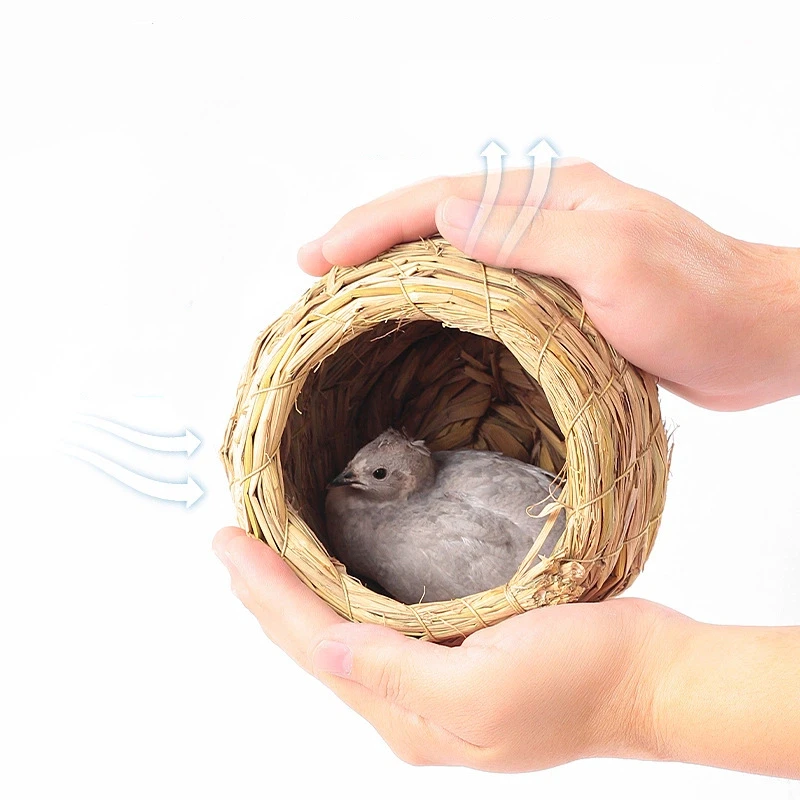 Thumbnail 2 - #34 Compare Birdhouses Before You Buy
