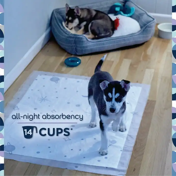 

Dog Pads, Smart Prints, XXL, Overnight, 14ct