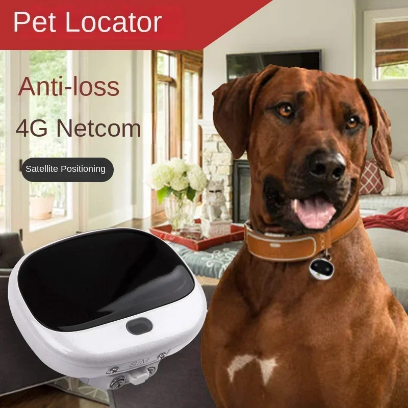 

Mini 4G LTE 2G GSM Dog Gps Location, 4G GPS Pet Tracker with Led Light With Free APP Waterproof Two-way Voice Dog Supplies