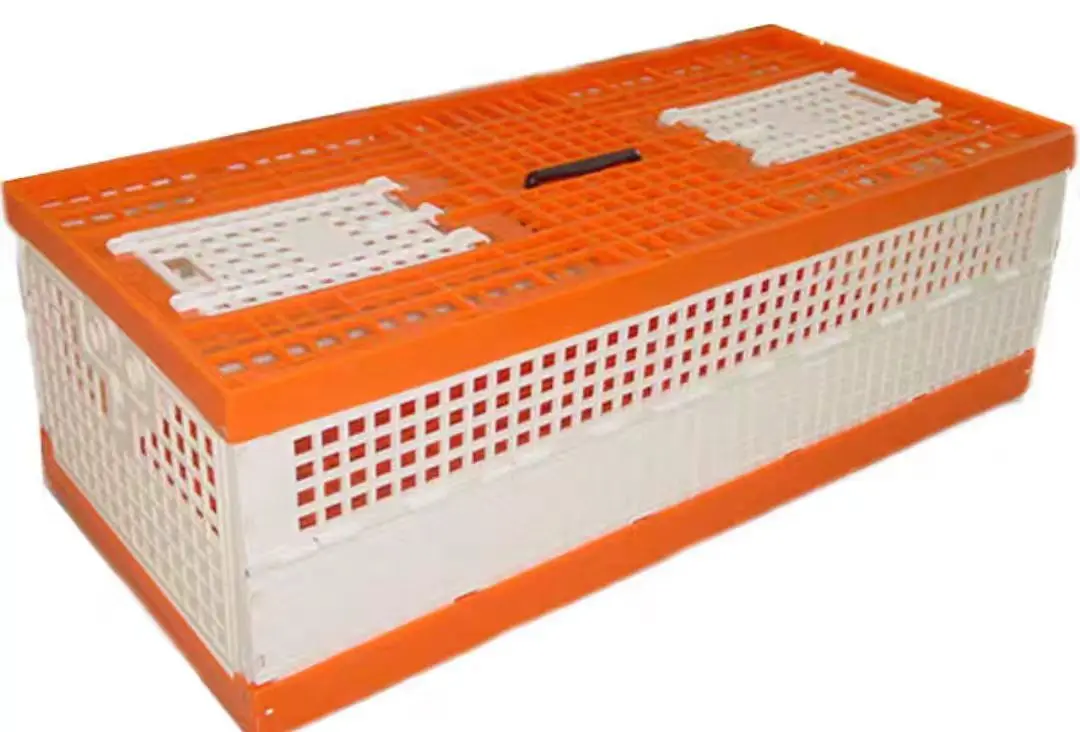 Pigeon bird cage in plastic racing pigeon basket with good material plastic