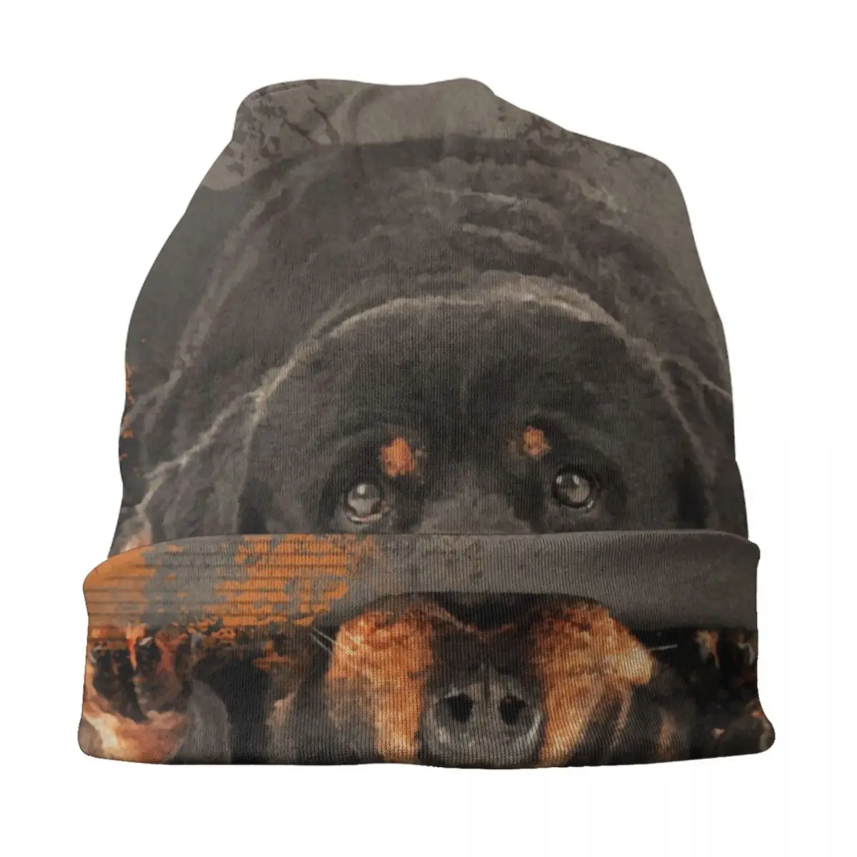 Rottweiler-gorros de punto para hombre y mujer, gorros bonitos y cálidos para el invierno, Unisex, Metzgerhund