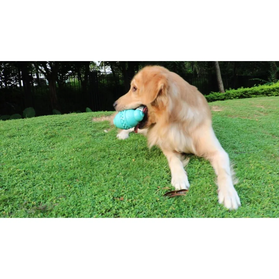 

Dog Leakage Toy Round Jar Bottle Shape Dog Chew Toys Dogs Puppies Teething Clean Aggressive Chewer Pets Safe Bite Chew Toys
