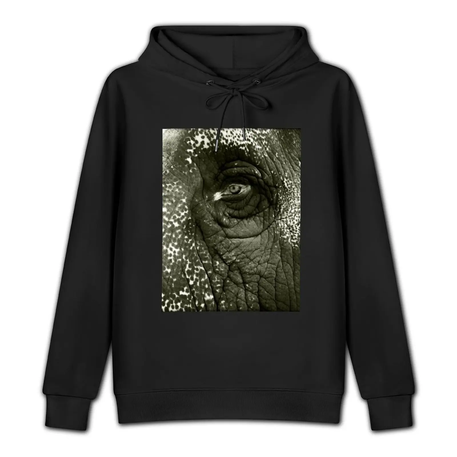 Temple Elephant Eye - India 2012 Pullover Hoodie men's sweat-shirt men wear hoodie men