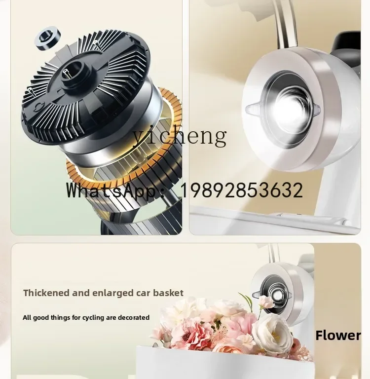 AB nouveau standard national peut être sous licence vélo électrique batterie de grande capacité batterie adulte voiture