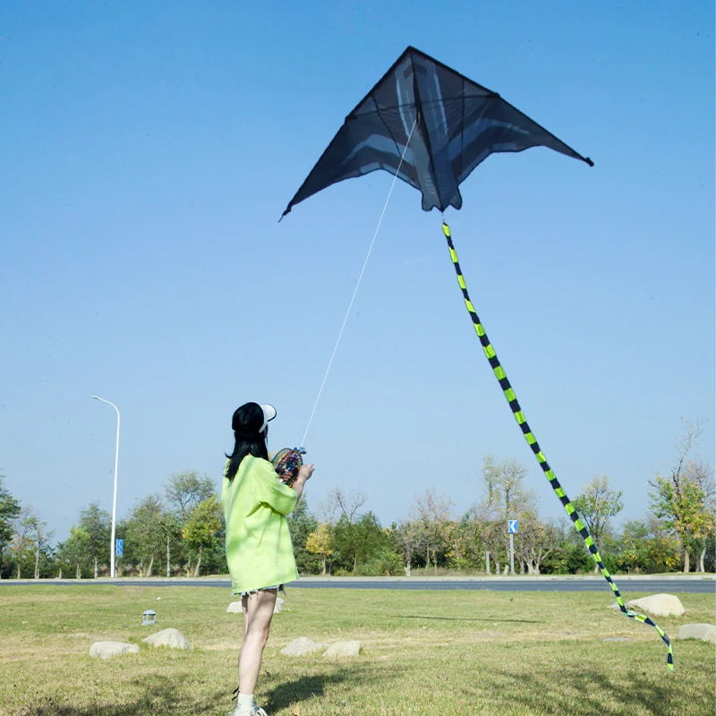 Yongjian 2 m Flugzeugdrachen, Delta-Drachen, geeignet für Outdoor-Camping mit großen Drachen für Erwachsene, Strand- und Campingaktivitäten