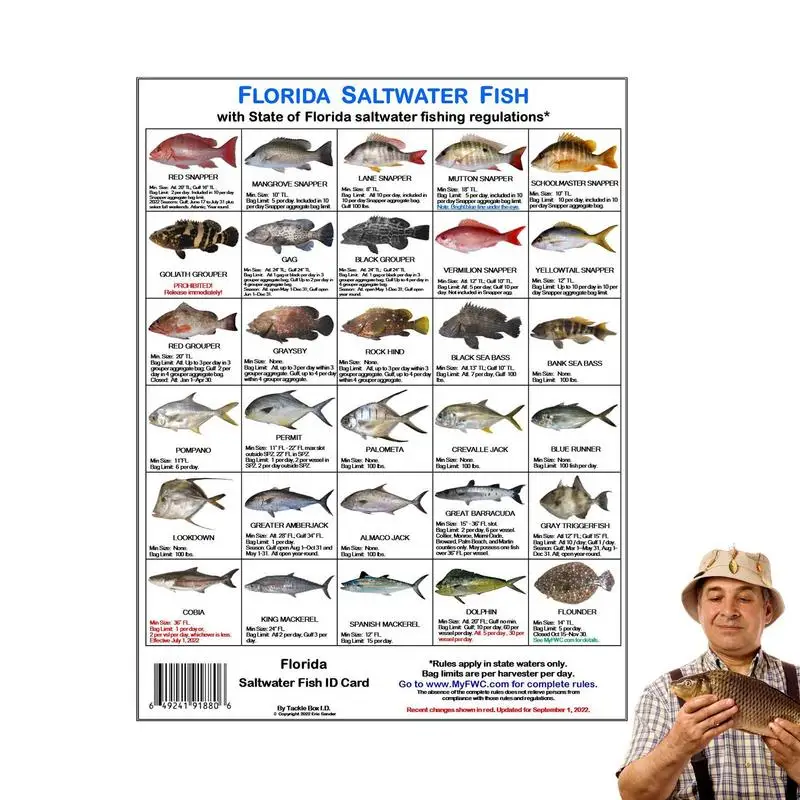 Florida Saltwater Fish Identification Card Color Photos Of Florida Waters Rules Identify Florida Waters Rules Card For Fishing