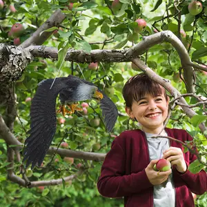 Hanging Plastic Eagle Statue, Orchard Bird-Proof, Scarecrow Ornament, Outdoor Eagle Costurine, Vivid Decor, Eagle 8 Main Sales Aguia Decoration Statue - №7