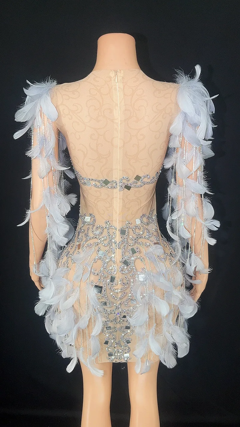 Robe de Soirée Moulante en Dentelle et Plumes à Paillettes, Tenue Personnalisée, Transparente, à Haute artificiel asticité, à Manches Courtes, Sexy, pour Spectacle sur Scène