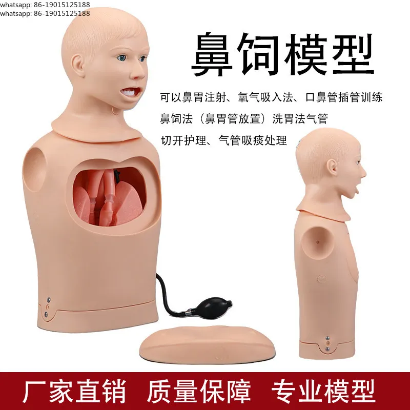 Professional nasal feeding tube model Half-body Simulated human nasal feeding, sputum suction, gastric tube gastric lavage mold
