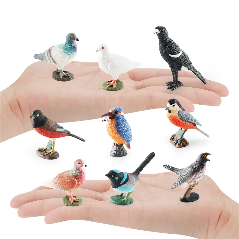 Nuova simulazione Solid Pigeon Wild Forest Zoo Animal Model figurine di uccelli educazione precoce giocattolo cognitivo animali per regalo per