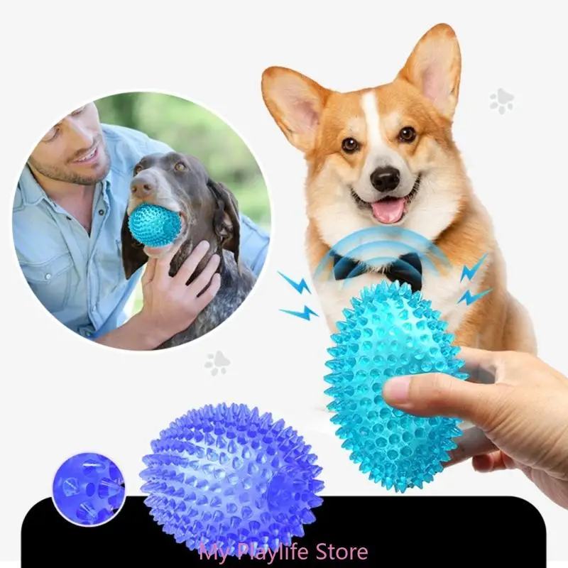 2x Pet Teething Toy Simulations Dog Chew Toy Teething Toy Gift Discourage Destructive Behavior Dog