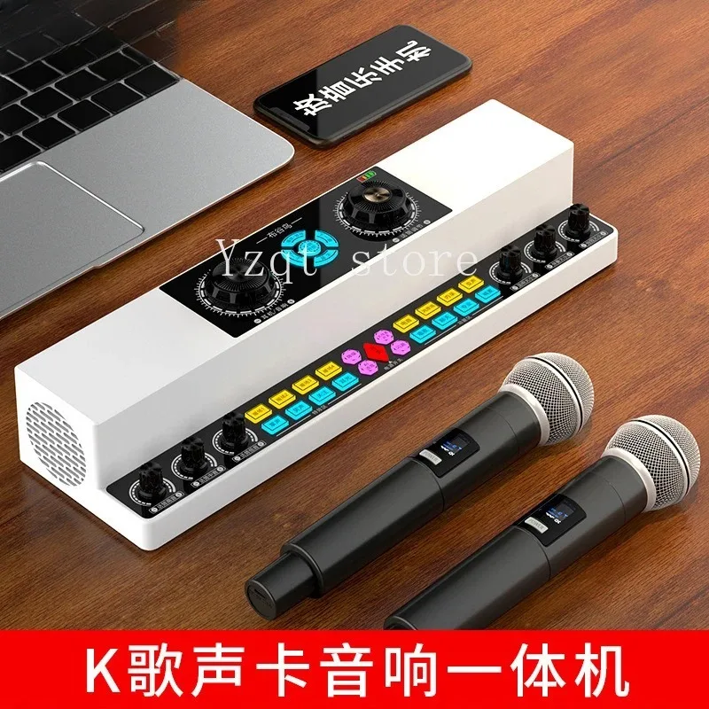 Live Singing Sound Card Audio All-in-one Machine Indoor and Outdoor Square Dance Karaoke Wireless Bluetooth Speaker