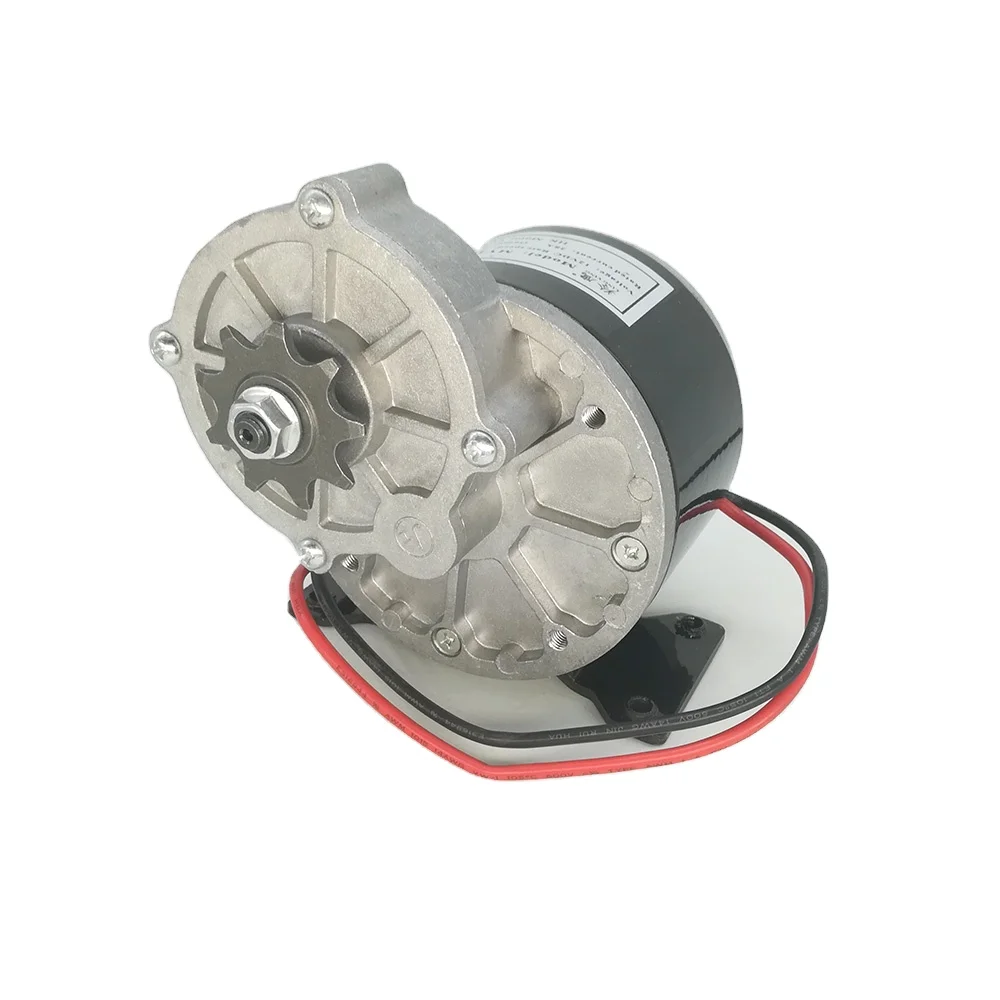 

Electric Bike Motor 24v Brush Dc Motor MY1016Z 250W 24V