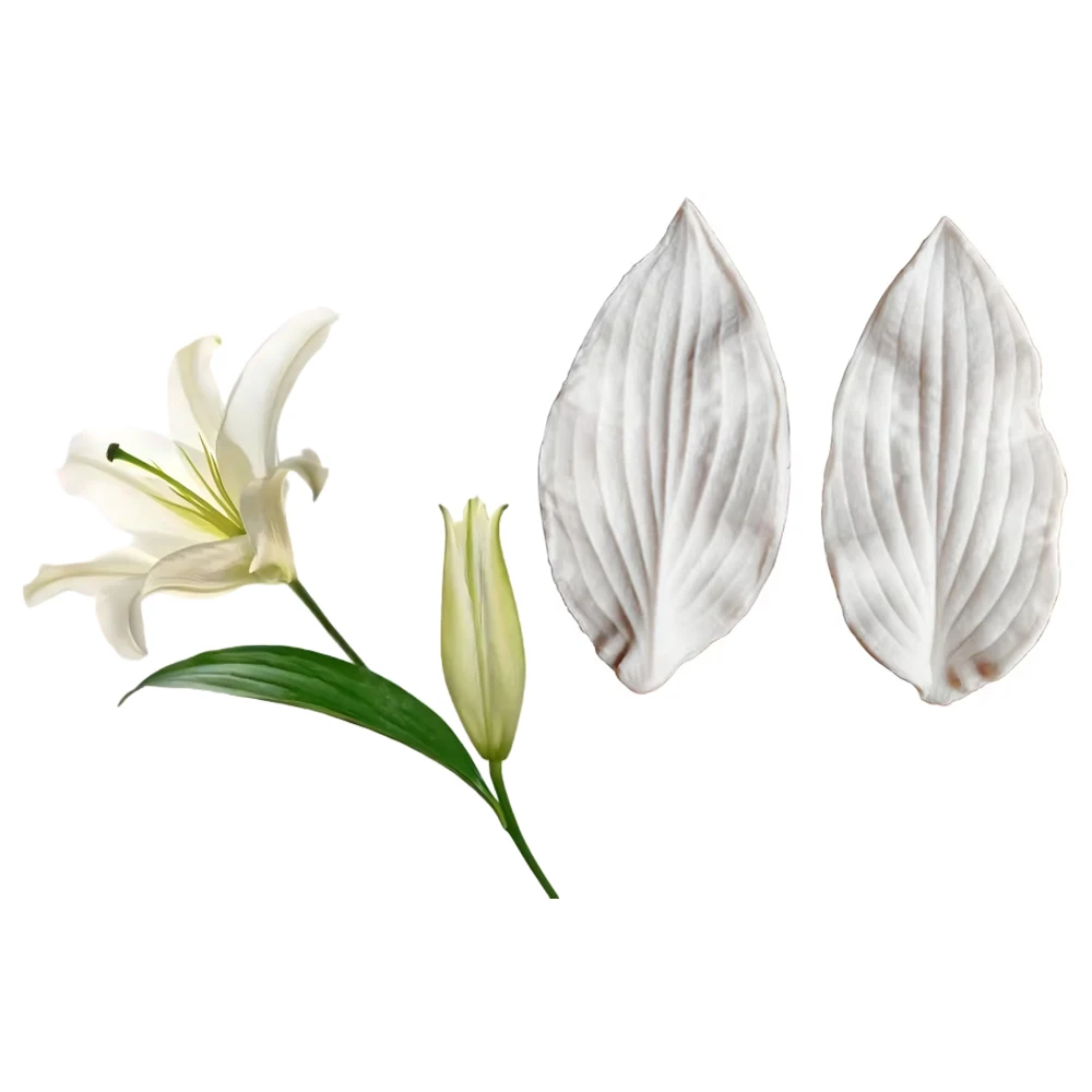 Hosta flower Leaf Mold Impression Mold Silicone Mold Cake Decorating Fondant Sugarcraft Cake Mold Kitchenware M2115