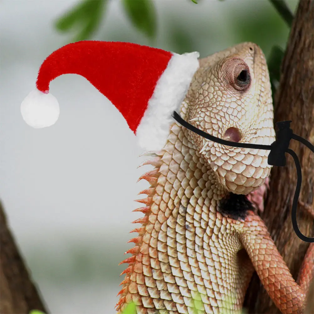 

1Set Reptile Pet Towing Rope Lizard Xmas Hat Durable Leash Outdoor Walking Costume Set Reptile Pet Towing Rope Set