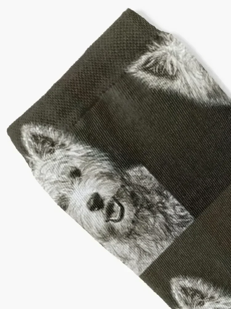 West Highland White Terrier portrait, Westie Art, Black and White drawing Socks designer compression Women's Socks Men's