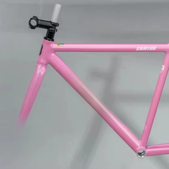 

For SNM100 Aluminum/alloy Fixed Gear Bicycle Frame