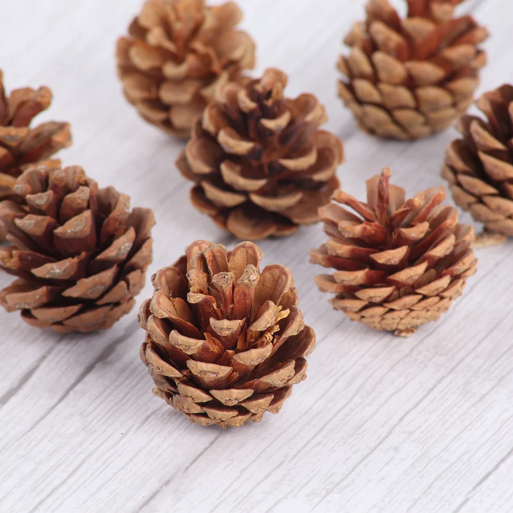 5Pcs Multiple Sizes Natural Pine Nuts Artificial Fake Pine Cone Decorative DIY Christmas Tree Pinecone Decoration for Festival