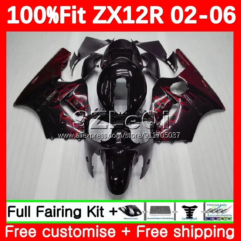 Red Flames Injection For KAWASAKI NINJA ZX-12R ZX12R 02 03 04 05 06 116No.0 ZX 12R ZX1200 CC 2002 2003 2004 2005 2006 Fairing