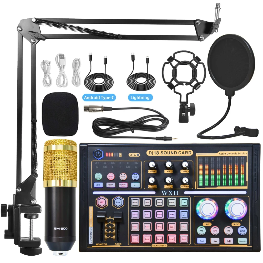 Hot Condenser Microphone BM 800 Wireless DJ18 Sound Card for