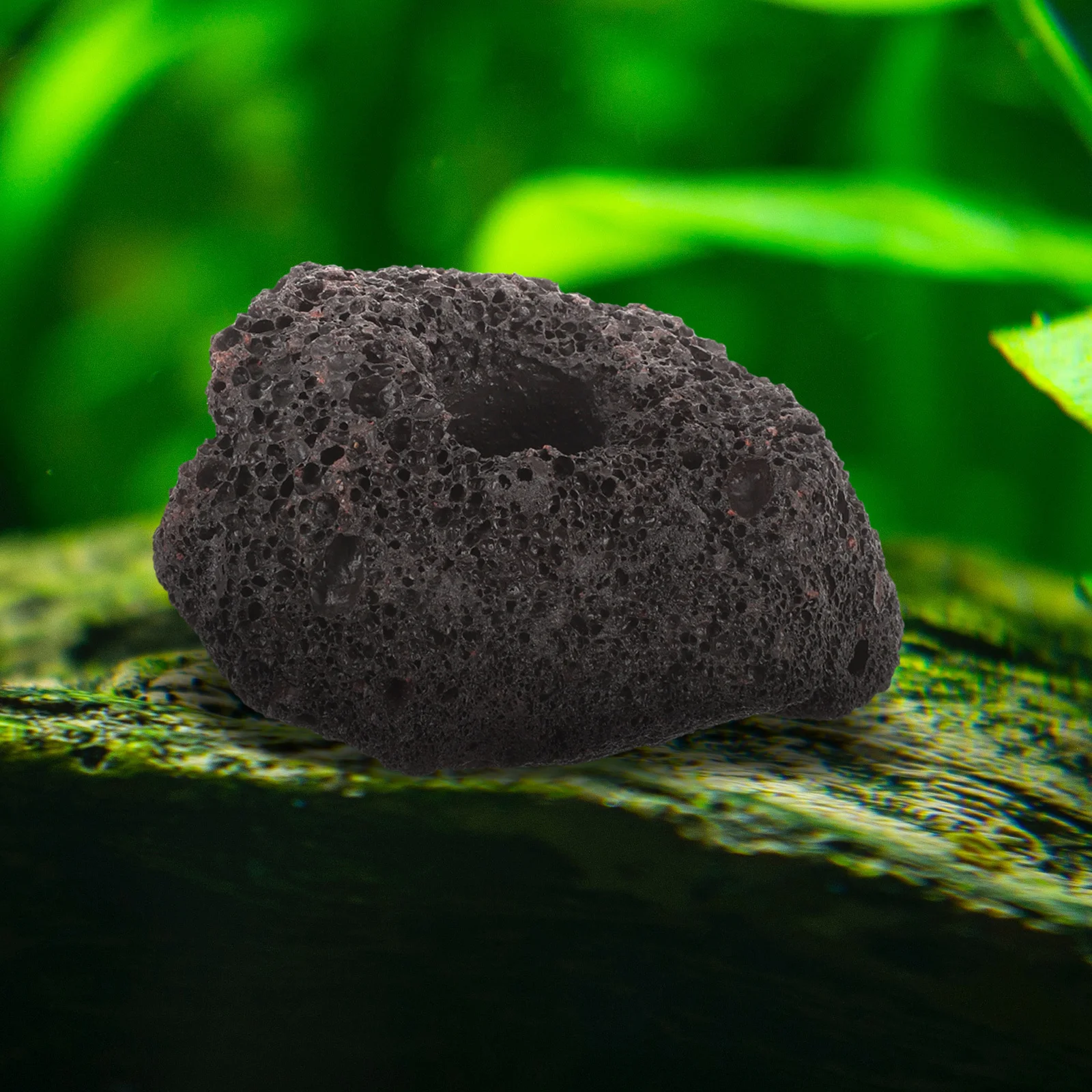 

10Pcs Fish Tank Volcanic Rocks Fixed Rings for Aquatic Plant Holder Fish Shelter Decoration Base and Aquarium Planting Tool