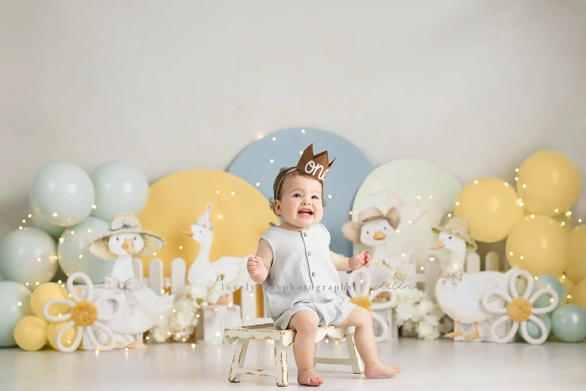Cute Silly Goose With Floral Arch Backdrops Kids Baby Cake Smash 1st Birthday Props Garden Wooden Fence Decor Background