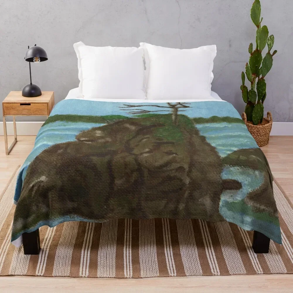 Seaside Boulders Throw Blanket Hair Decorative Sofas Bed covers Custom Blankets