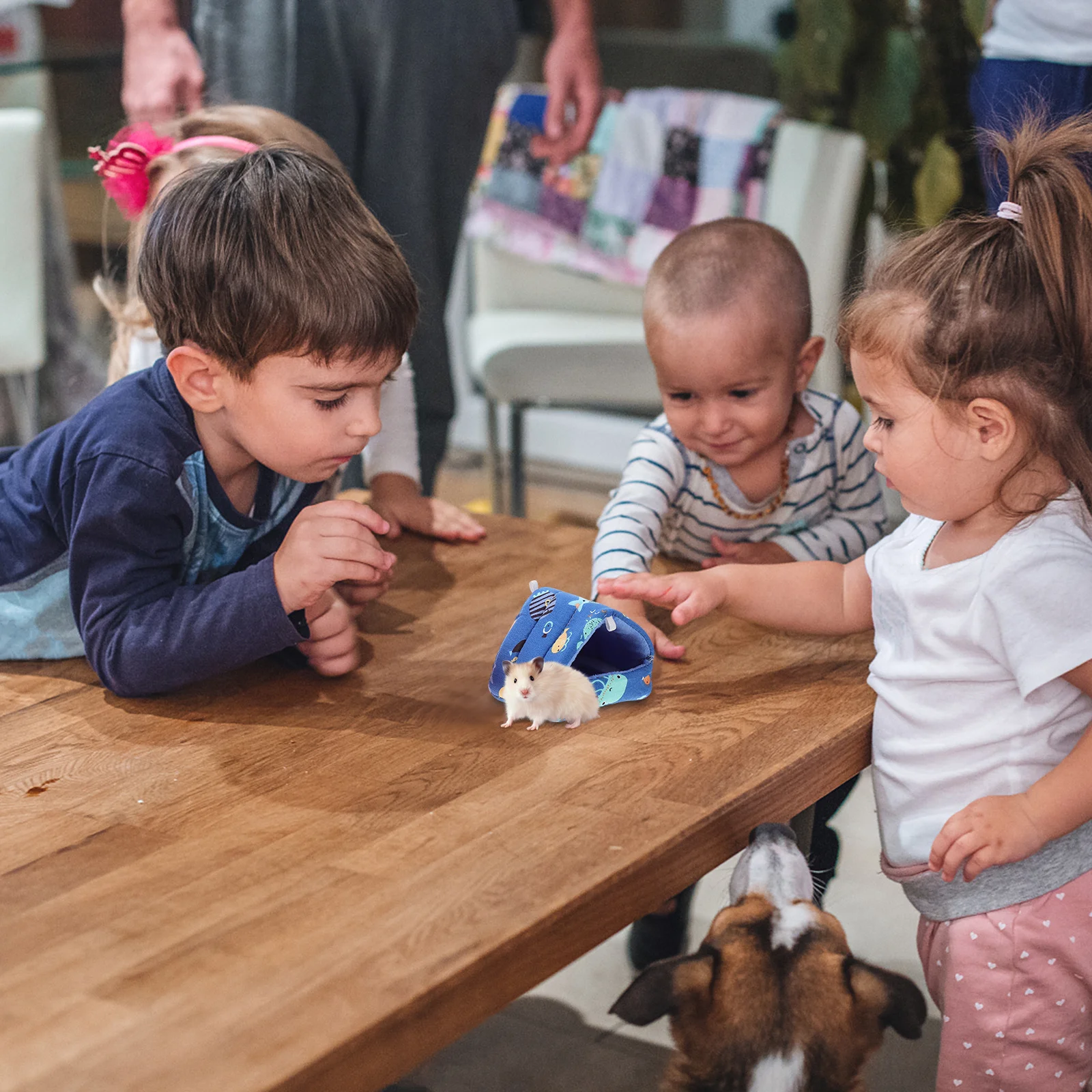 

2Pcs Mini Pet Nest Cotton Material Strong Texture Secure Environment for Hamster Squirrel Chinchilla Cozy Sleeping Bed Supply