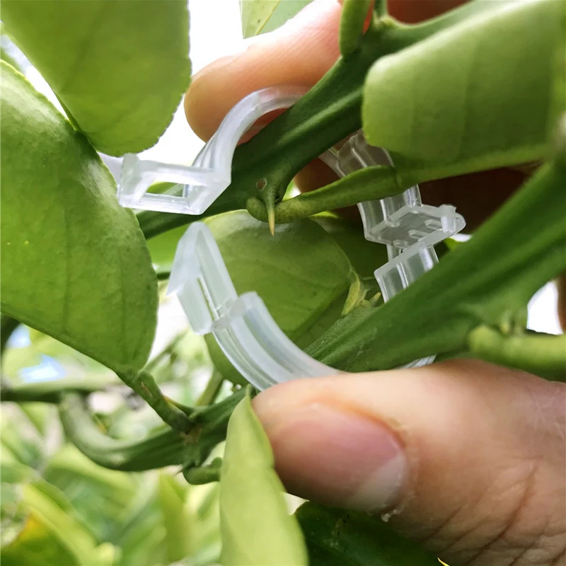 Plastic Plant Clips Supports Connects Reusable Protection Grafting Fixing Tool Gardening Supplies for Vegetable Tomato