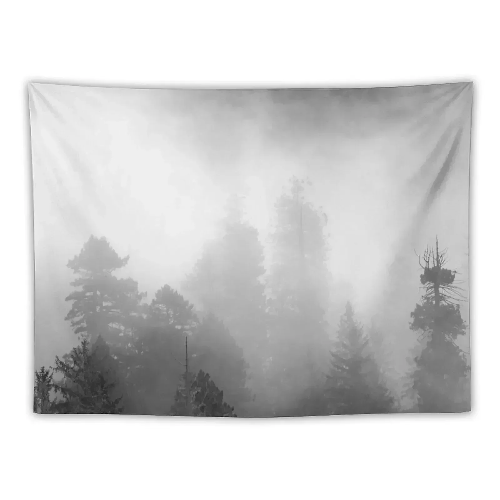 Redwood Forest Morning Black and White - Foggy Mountain Trees Nature Photography Tapestry House Decoration House Decor Tapestry