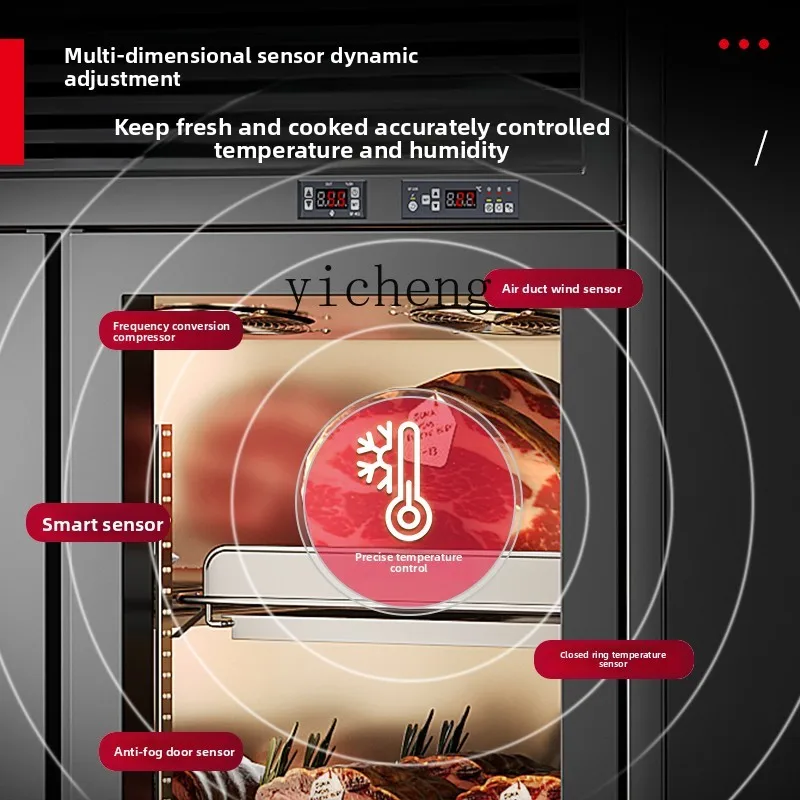 Vetrina congelata refrigerata per la conservazione della freschezza di scarico dell'acido di pesce d'alto mare commerciale TQH per ristorante bagnato e asciutto