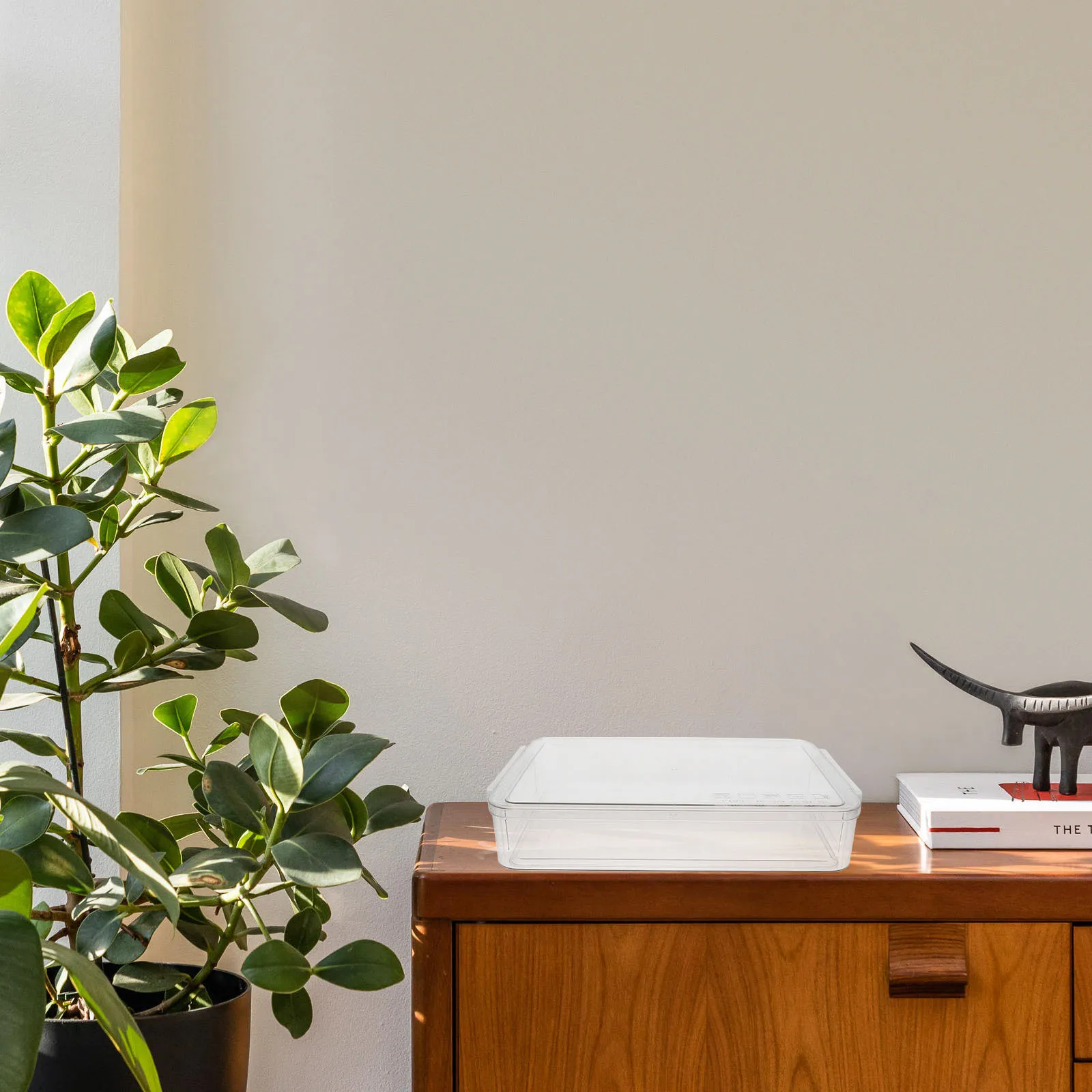 

Transparent Document Organizer Box Large Capacity Plastic File Storage for Office Home Use Document Organizer